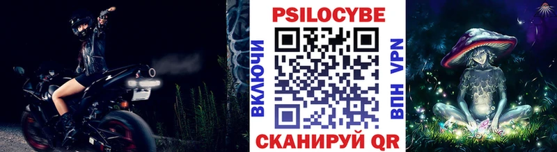 Псилоцибиновые грибы Cubensis  Купить где  Нерюнгри 